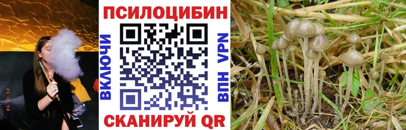 Псилоцибиновые грибы ЛСД  Зерноград 