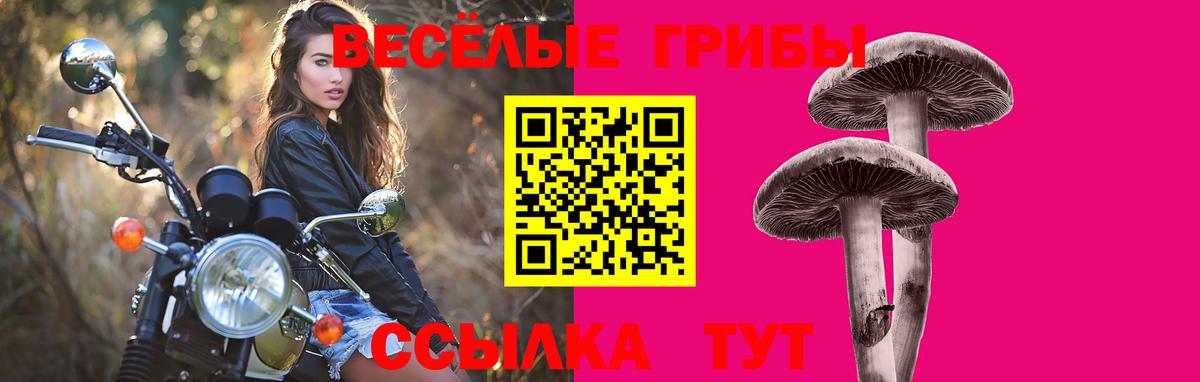 Галлюциногенные грибы мицелий  Вход с VPN  Зерноград 